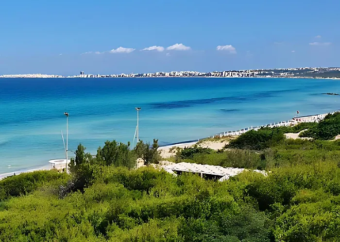 Lido * Галлиполи